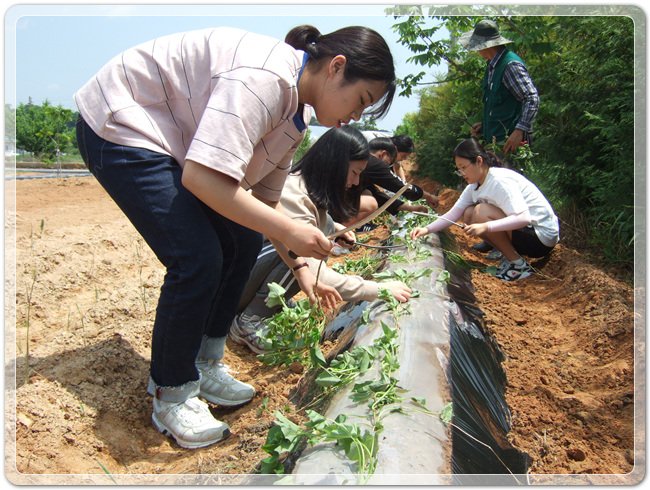 3e2fdfe3f3399aca931784e20d0efbf6_1494762