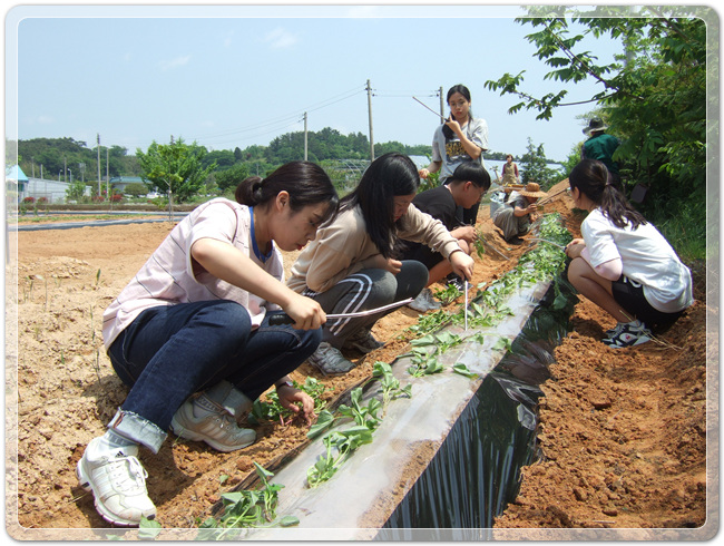 3e2fdfe3f3399aca931784e20d0efbf6_1494762