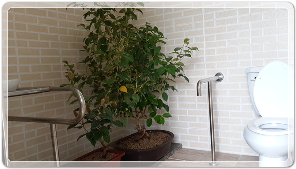 63e34ea05f5f60f240ac49fee4c340f3_1494302