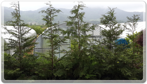 63e34ea05f5f60f240ac49fee4c340f3_1494302