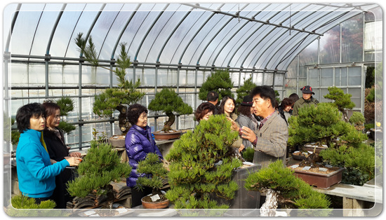 63e34ea05f5f60f240ac49fee4c340f3_1494318