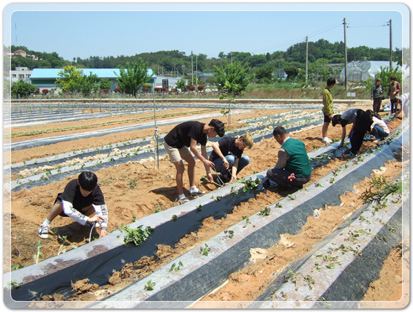 a35e9e01c6ad9867322e75986cf86e7a_1495173