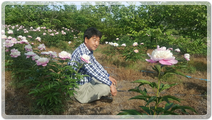 a685d7537fefd444e76126ad72353eaa_1495027