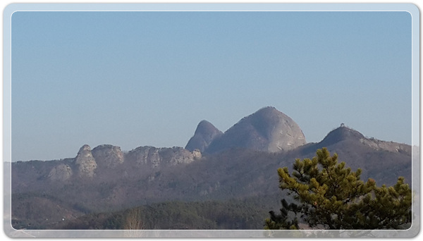 ea6d3676547f7b190a114ac24b97a389_1494420