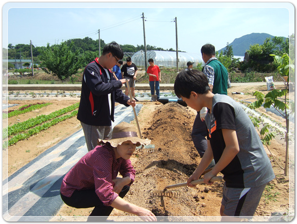 2fe5bf2fa07a058b4fd73927b643480e_1496491