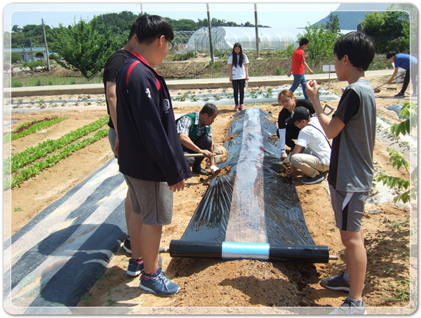 2fe5bf2fa07a058b4fd73927b643480e_1496491