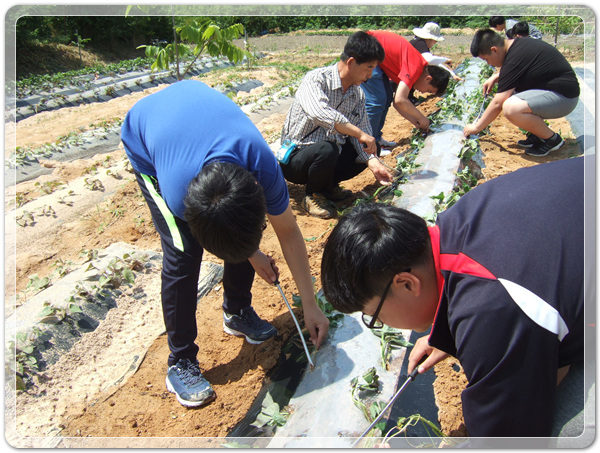 2fe5bf2fa07a058b4fd73927b643480e_1496491