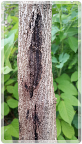 381b9f1d30b099891ab539f7a7c19eab_1497955