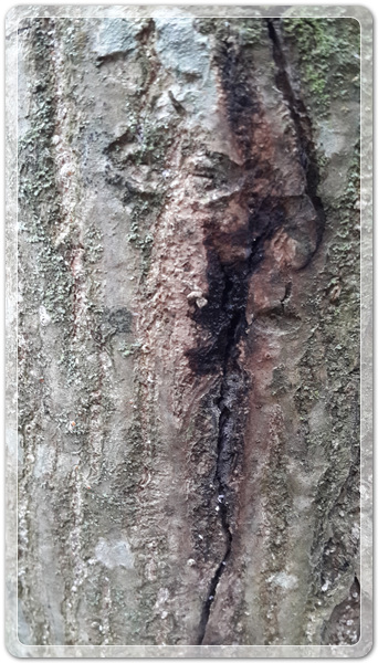 381b9f1d30b099891ab539f7a7c19eab_1497955