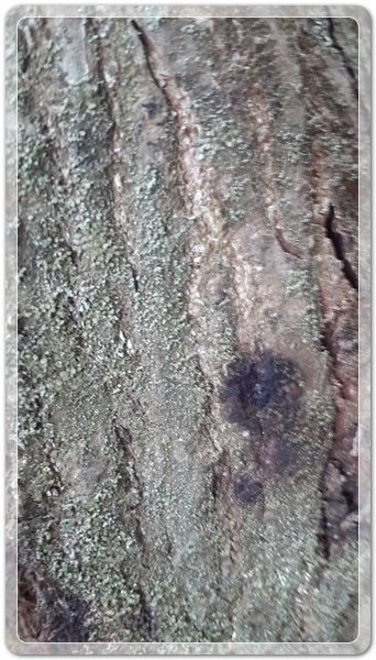 381b9f1d30b099891ab539f7a7c19eab_1497955