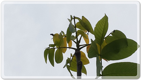 381b9f1d30b099891ab539f7a7c19eab_1497955