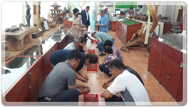 441ed1200633056d4a426cdeeb6b6aaa_1498650