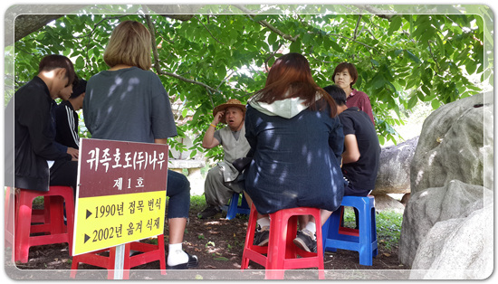 6e1ad71891ca2bb7dfb3a2ed77277cdd_1498539