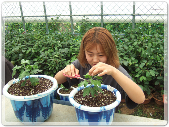 6e1ad71891ca2bb7dfb3a2ed77277cdd_1498540