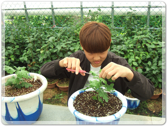 6e1ad71891ca2bb7dfb3a2ed77277cdd_1498540