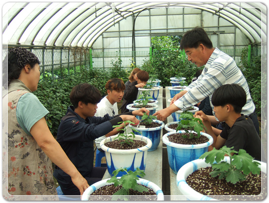 6e1ad71891ca2bb7dfb3a2ed77277cdd_1498540