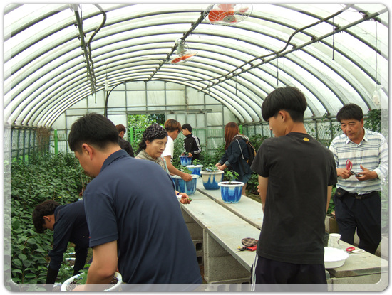 6e1ad71891ca2bb7dfb3a2ed77277cdd_1498540