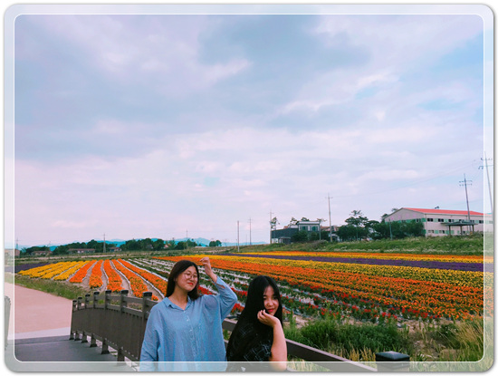 6e1ad71891ca2bb7dfb3a2ed77277cdd_1498540