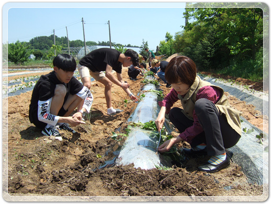 cee4b2c089452ff0f9788d1480323be5_1496928