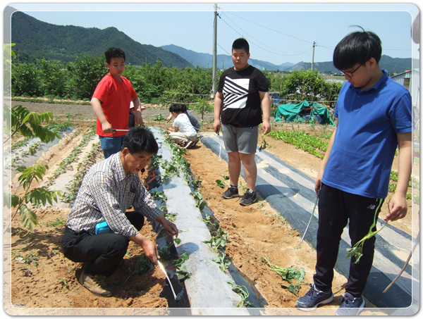 0a7257a376103fd0044fed842e2e449d_1498916