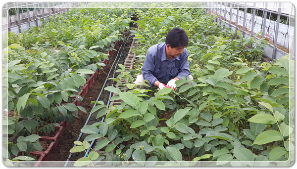 2d46fbac7d132bf32f30a49d29be1417_1498992