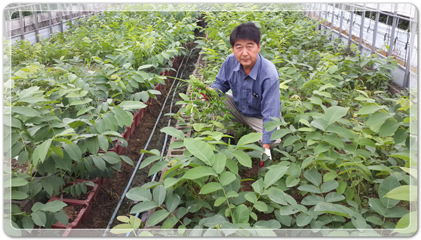 2d46fbac7d132bf32f30a49d29be1417_1498992