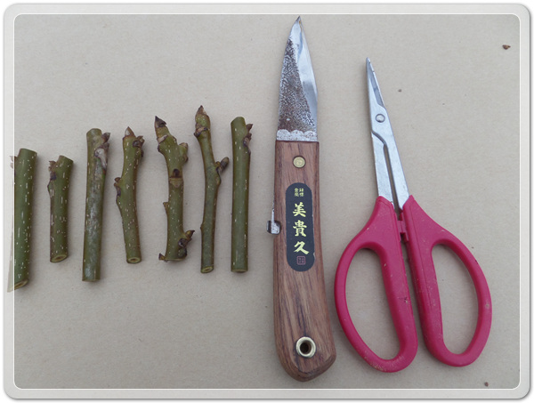 2d46fbac7d132bf32f30a49d29be1417_1498992