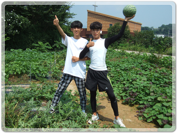 7c31783afe739ae6b3619a178fc2fc5f_1500586