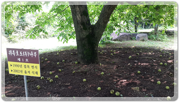 9e8dffba88e8053a4a2f8f6bdec3c6a2_1499260