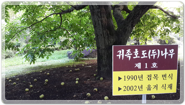 9e8dffba88e8053a4a2f8f6bdec3c6a2_1499260