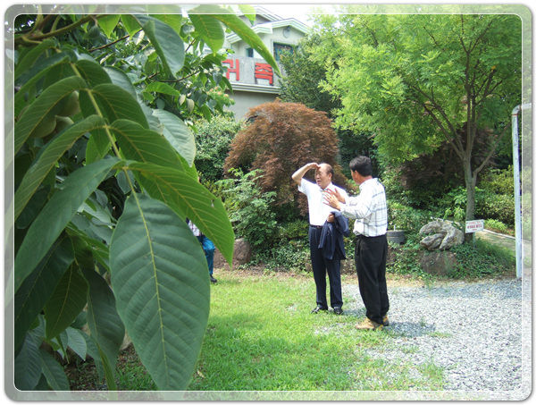 ec58b82c1a62629b19d0f9cbe3c7ada1_1500807