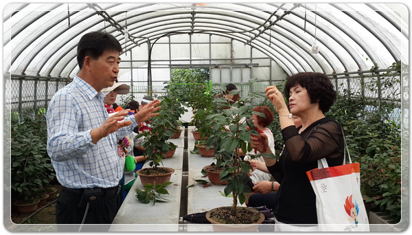 151dab00ba0c0fca0863246ae58440d0_1505169