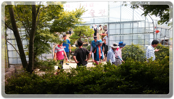 151dab00ba0c0fca0863246ae58440d0_1505169