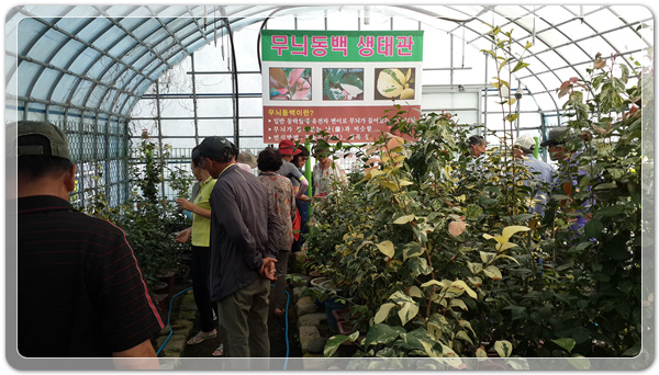 151dab00ba0c0fca0863246ae58440d0_1505169