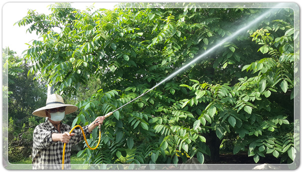 49950e80e7a67446a332abea3e7a86d1_1504392