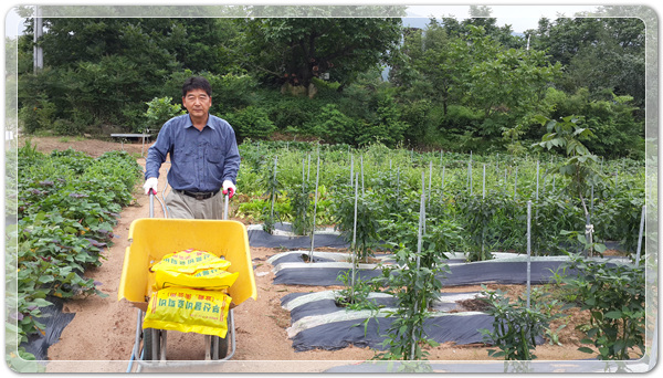 49950e80e7a67446a332abea3e7a86d1_1504392