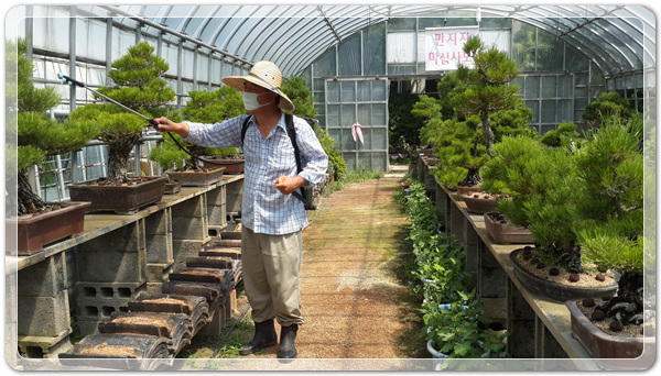 49950e80e7a67446a332abea3e7a86d1_1504392