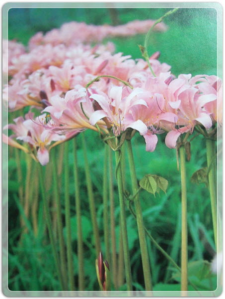 f360694bdb58a739cf6447bc5d8543e9_1506212