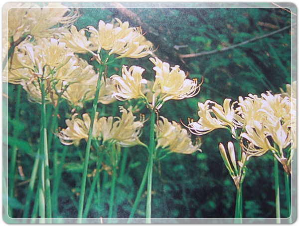 f360694bdb58a739cf6447bc5d8543e9_1506212