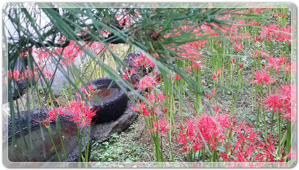 f360694bdb58a739cf6447bc5d8543e9_1506212