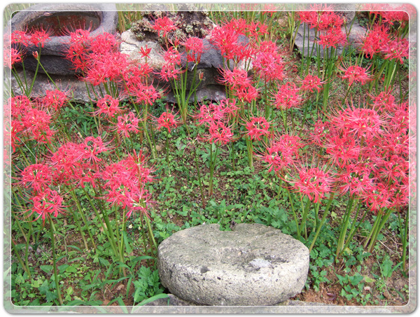 f360694bdb58a739cf6447bc5d8543e9_1506212