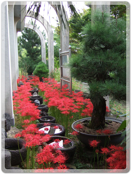 f360694bdb58a739cf6447bc5d8543e9_1506212