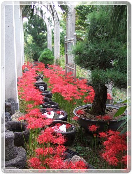 f360694bdb58a739cf6447bc5d8543e9_1506212