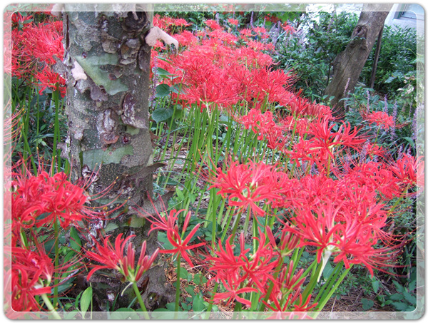 f360694bdb58a739cf6447bc5d8543e9_1506212