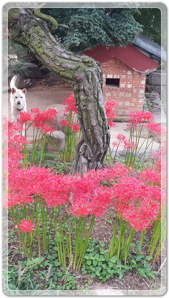 f360694bdb58a739cf6447bc5d8543e9_1506212