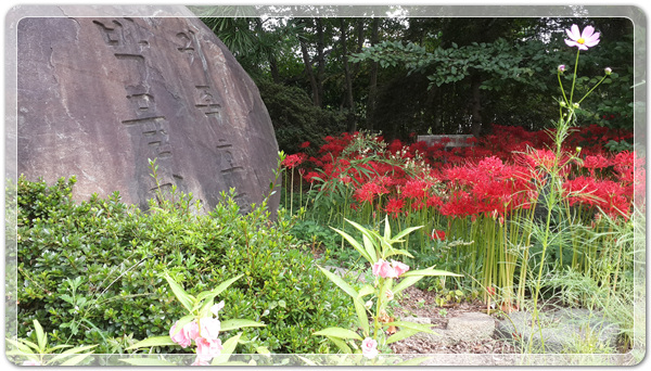 f360694bdb58a739cf6447bc5d8543e9_1506212