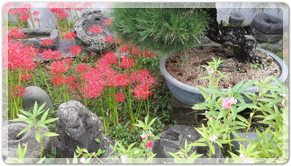 f360694bdb58a739cf6447bc5d8543e9_1506212