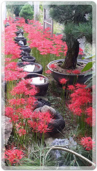 f360694bdb58a739cf6447bc5d8543e9_1506212