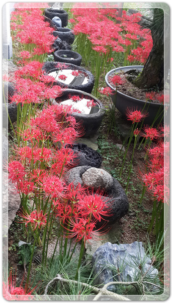 f360694bdb58a739cf6447bc5d8543e9_1506212