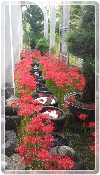 f360694bdb58a739cf6447bc5d8543e9_1506212